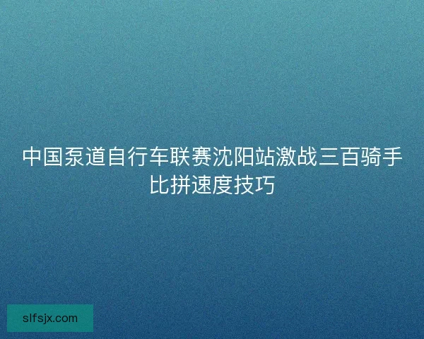 中国泵道自行车联赛沈阳站激战三百骑手比拼速度技巧