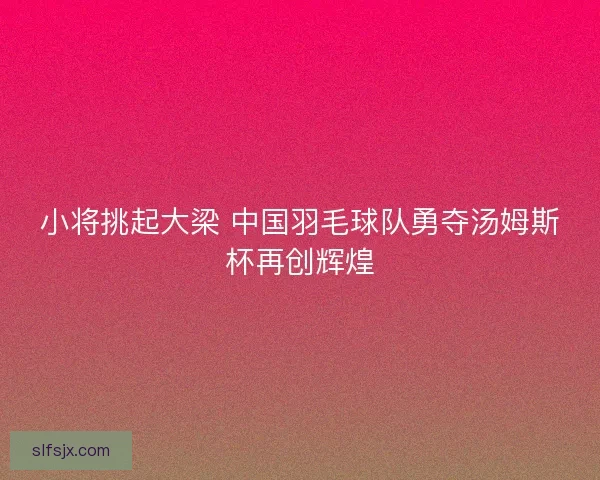 小将挑起大梁 中国羽毛球队勇夺汤姆斯杯再创辉煌 小将挑起大梁 中国羽毛球队勇夺汤姆斯杯再创辉煌