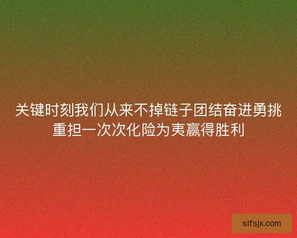 关键时刻我们从来不掉链子团结奋进勇挑重担一次次化险为夷赢得胜利 关键时刻我们从来不掉链子团结奋进勇挑重担一次次化险为夷赢得胜利