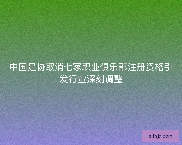 中国足协取消七家职业俱乐部注册资格引发行业深刻调整 中国足协取消七家职业俱乐部注册资格引发行业深刻调整