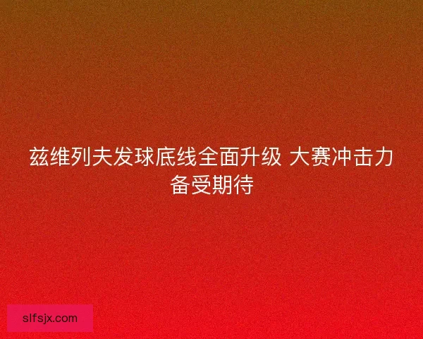 兹维列夫发球底线全面升级 大赛冲击力备受期待 兹维列夫发球底线全面升级 大赛冲击力备受期待